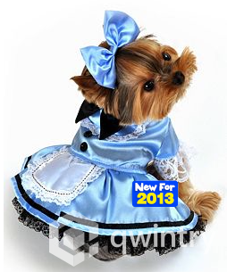 Праздник в каждый дом 2